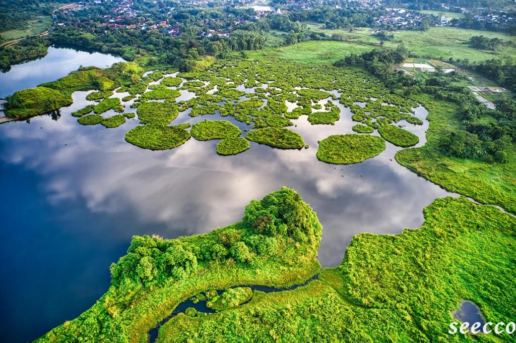 生态学专业就业怎么样，生态学专业就业前景？