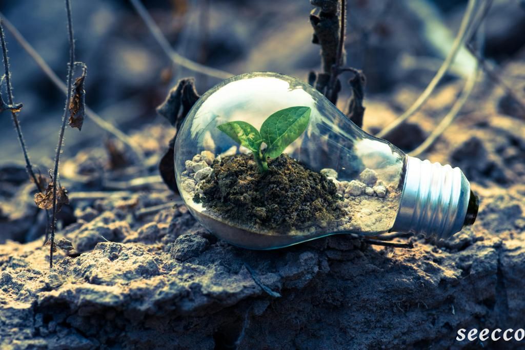 环境科学专业学什么，环境科学专业未来就业方向？