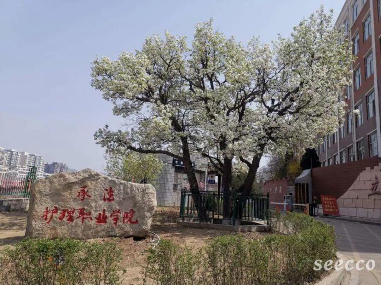 承德护理职业学院