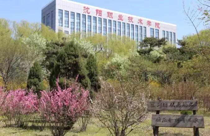 沈阳职业技术学院