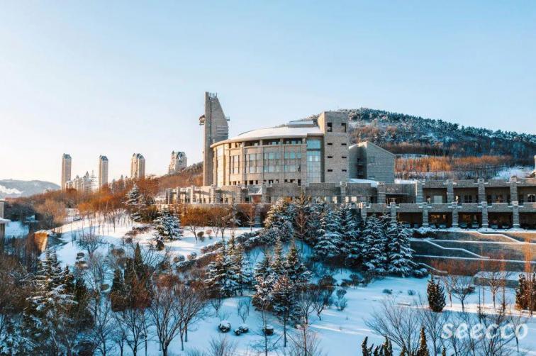 大连东软信息学院