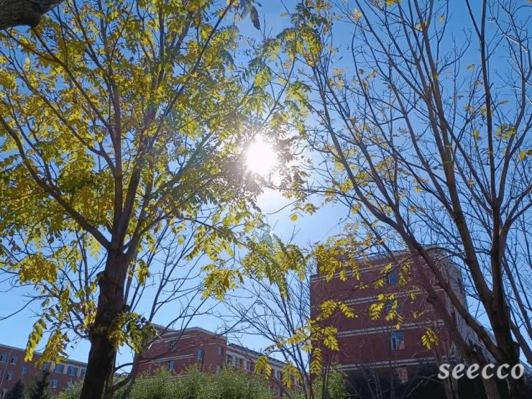 吉林外国语大学