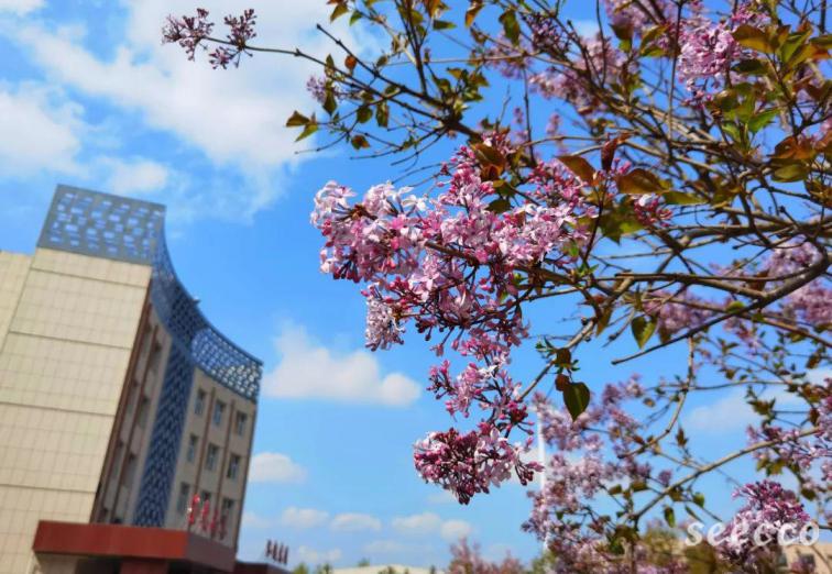 吉林交通职业技术学院
