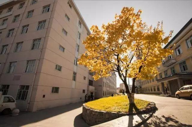 黑龙江工业学院