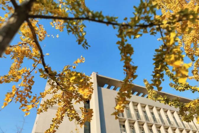 徐州工业职业技术学院