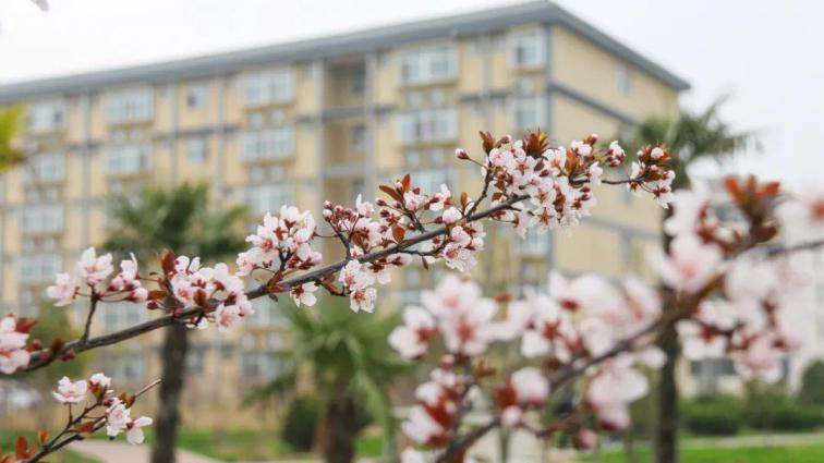 菏泽家政职业学院
