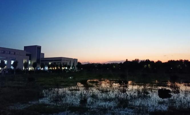 山东农业工程学院