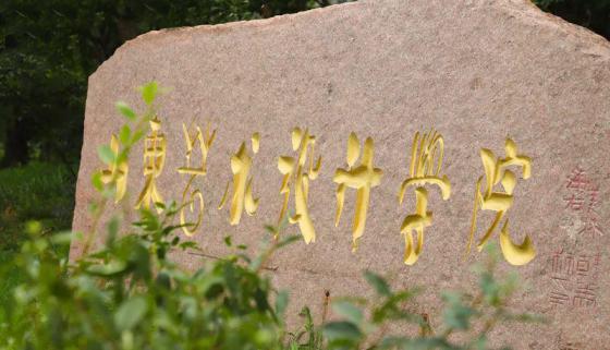 山东艺术设计职业学院