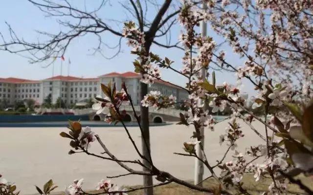 河南牧业经济学院