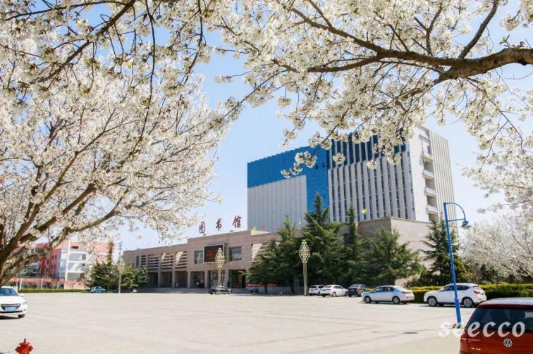 濮阳职业技术学院