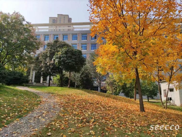 郑州财税金融职业学院