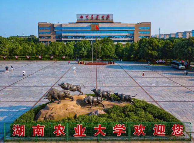 湖南农业大学东方科技学院