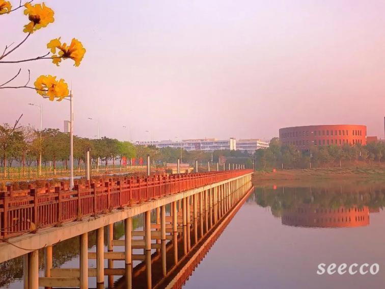 佛山科学技术学院