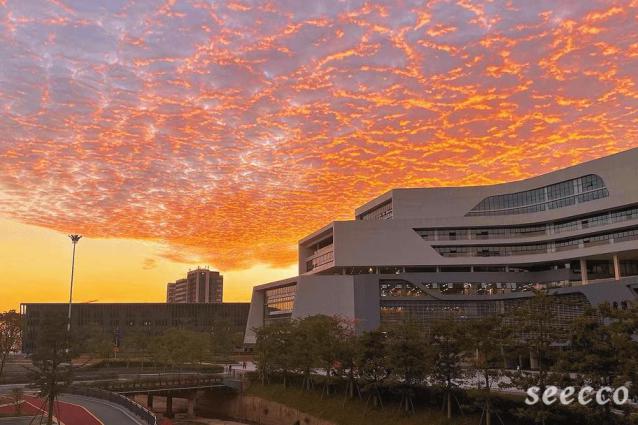 广州应用科技学院