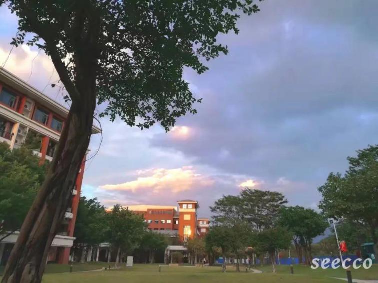 广东碧桂园职业学院