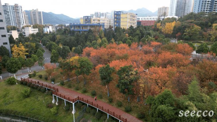 贵州工程应用技术学院
